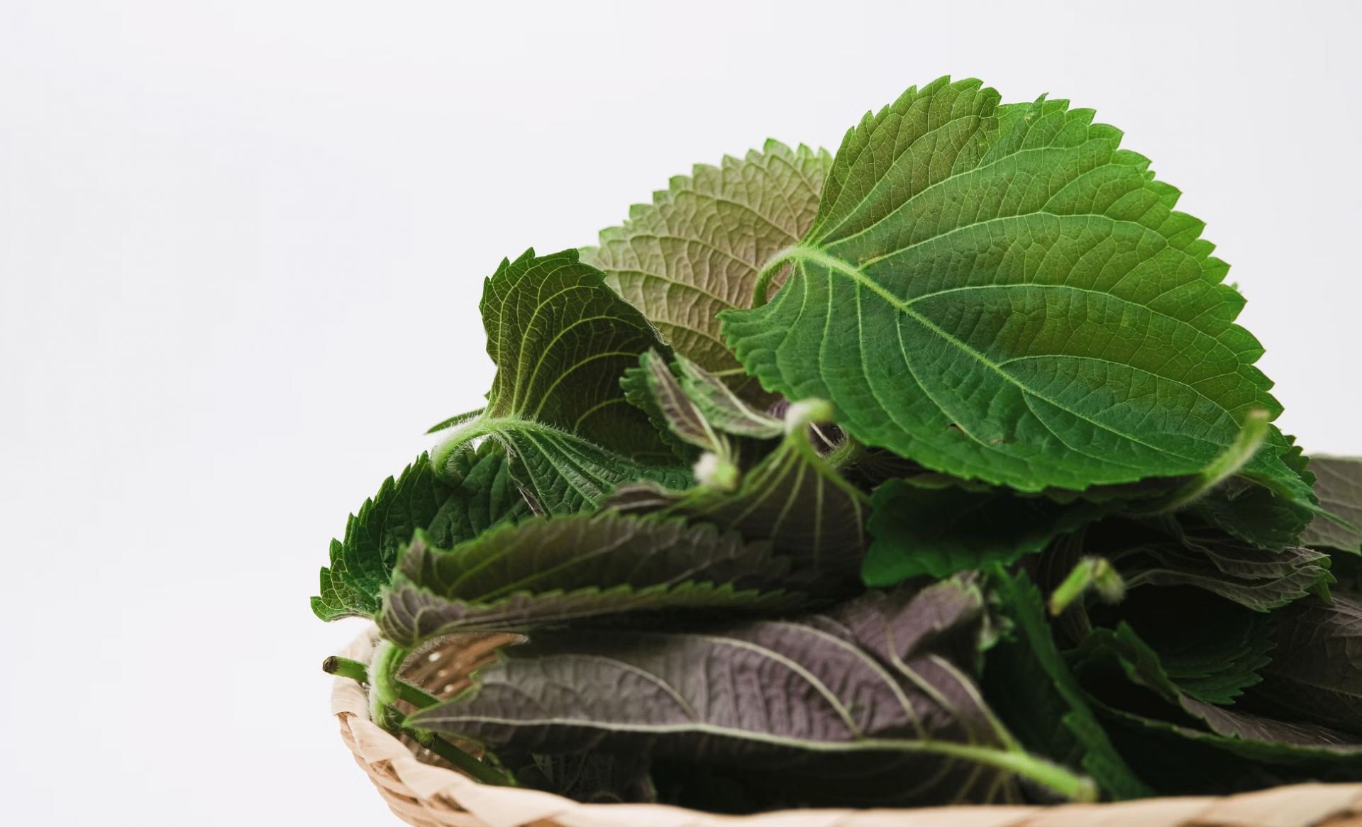 6 loại gia vị trong bếp giúp phòng ngừa cảm cúm khi giao mùa 6 loại gia vị trong bếp giúp phòng ngừa cảm cúm khi giao mùa