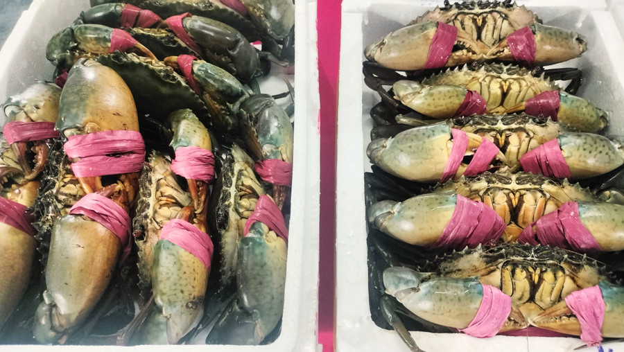 Món chè cua độc lạ tại Ngày hội Cua Cà Mau Món chè cua độc lạ tại Ngày hội Cua Cà Mau