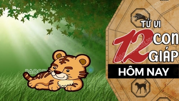 Tử vi hôm nay, xem tử vi 12 con giáp hôm nay ngày 21/11/2025: Tuổi Dần sự nghiệp vẻ vang
