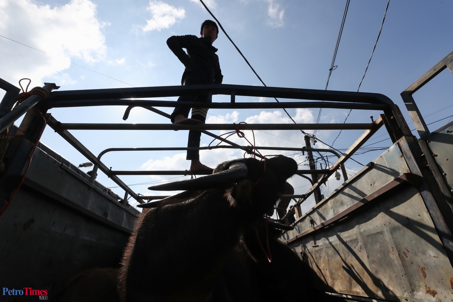 Phiên chợ trâu Bắc Hà: Sàn giao dịch trăm năm trên cao nguyên