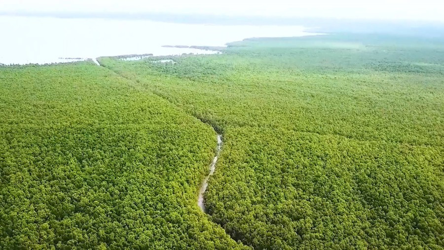 Xây dựng thương hiệu du lịch Cà Mau mang tầm quốc gia Xây dựng thương hiệu du lịch Cà Mau mang tầm quốc gia