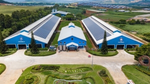 Vì sao nhà đầu tư nên chọn ít nhất 1 cổ phiếu ESG trong danh mục đầu tư?