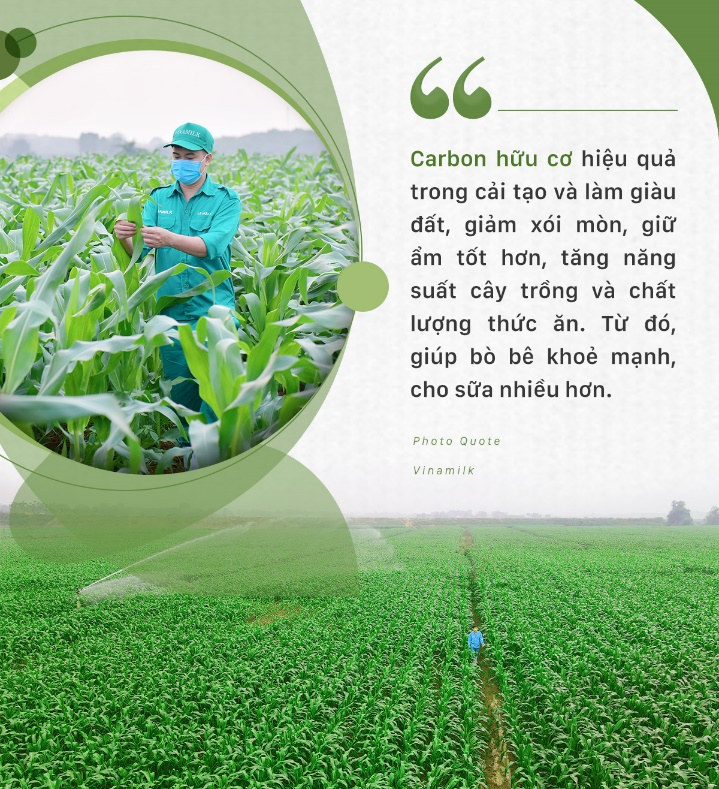 Doanh nghiệp được gì từ đầu tư cho phát triển bền vững?