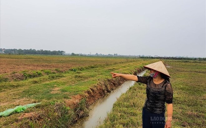 Điều kiện và thủ tục chuyển nhượng đất nông nghiệp khác năm 2023 Điều kiện và thủ tục chuyển nhượng đất nông nghiệp khác năm 2023