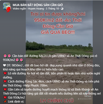 Giá đất Cần Giờ ra sao khi có thông tin triển khai các dự án lớn? | Fili Giá đất Cần Giờ ra sao khi có thông tin triển khai các dự án lớn? | Fili