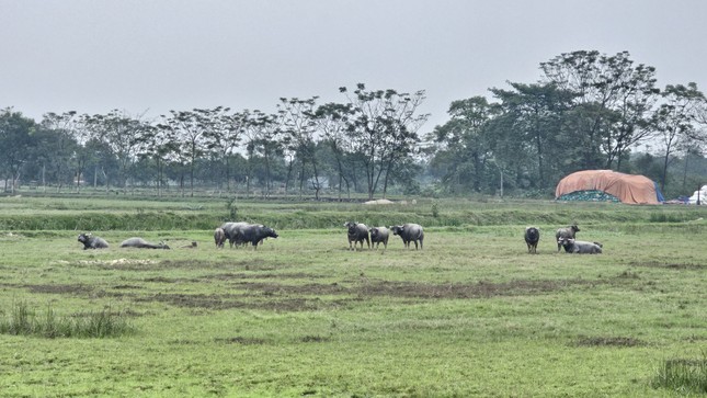 Phân lô, bán nền đất cụm công nghiệp rầm rộ ở huyện ngoại thành Hà Nội Phân lô, bán nền đất cụm công nghiệp rầm rộ ở huyện ngoại thành Hà Nội