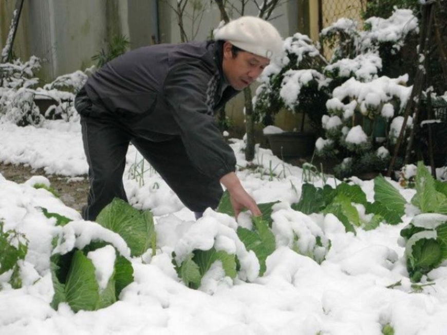 Rét đậm đến sớm, diễn biến mùa đông năm nay sẽ thế nào? Rét đậm đến sớm, diễn biến mùa đông năm nay sẽ thế nào?