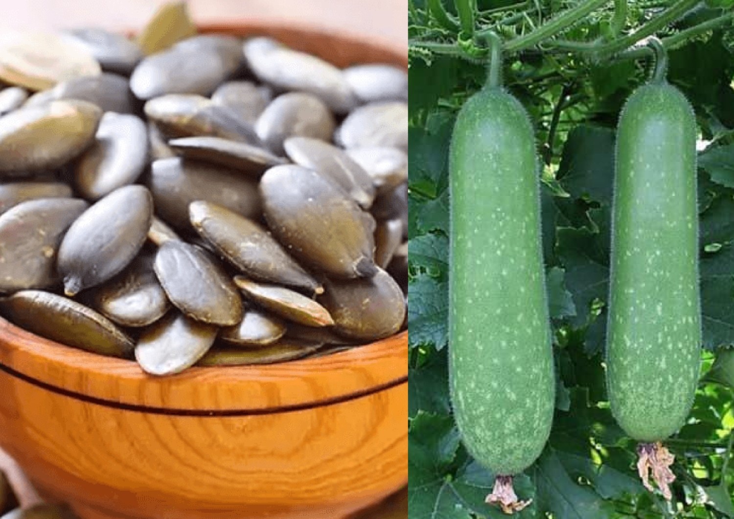 10 loại nước uống từ thảo dược tốt cho sức khỏe trong mùa đông lạnh 10 loại nước uống từ thảo dược tốt cho sức khỏe trong mùa đông lạnh