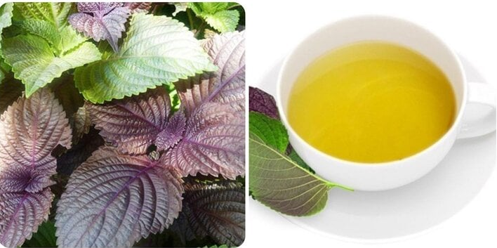 10 loại nước uống từ thảo dược tốt cho sức khỏe trong mùa đông lạnh 10 loại nước uống từ thảo dược tốt cho sức khỏe trong mùa đông lạnh