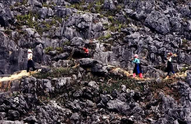 Cao nguyên đá Đồng Văn giành Cúp chiến thắng giải thưởng Du lịch Thế giới 2025 Cao nguyên đá Đồng Văn giành Cúp chiến thắng giải thưởng Du lịch Thế giới 2025