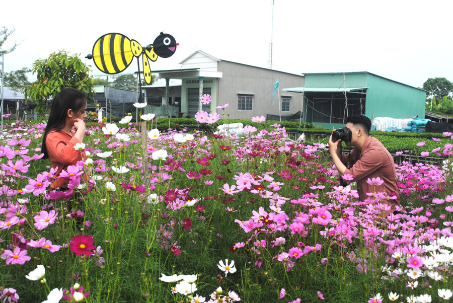 Festival Hoa - Kiểng Sa Đéc tôn vinh nghề trồng hoa, kiểng hơn 100 năm
