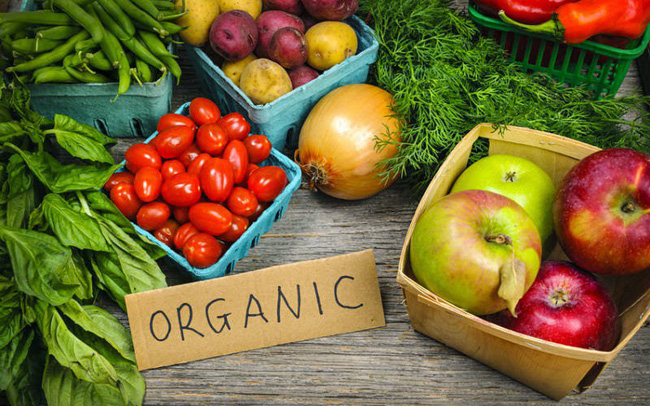 Sự khác biệt giữa nông nghiệp hữu cơ và nông nghiệp sạch