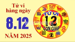 Tử vi hôm nay, xem tử vi 12 con giáp hôm nay ngày 8/12/2025: Tuổi Tý công việc sáng tạo
