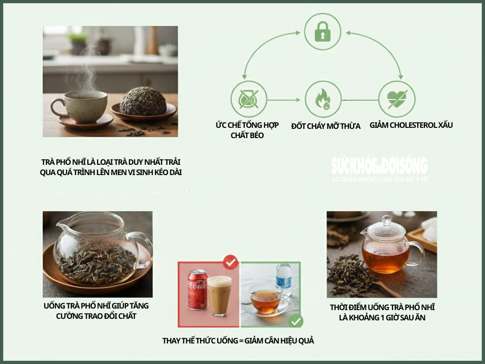 Trà Phổ Nhĩ: Bí mật giảm cân đến từ phương Đông Trà Phổ Nhĩ: Bí mật giảm cân đến từ phương Đông