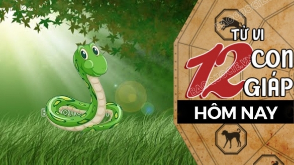 Tử vi hôm nay, xem tử vi 12 con giáp hôm nay ngày 22/12/2025: Tuổi Tỵ sức khỏe suy giảm