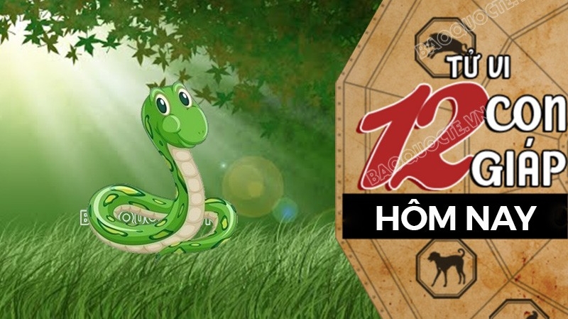 Tử vi hôm nay, xem tử vi 12 con giáp hôm nay ngày 22/12/2025: Tuổi Tỵ sức khỏe suy giảm