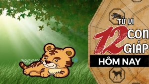 Tử vi hôm nay, xem tử vi 12 con giáp hôm nay ngày 26/12/2025: Tuổi Dần thu nhập tăng nhanh