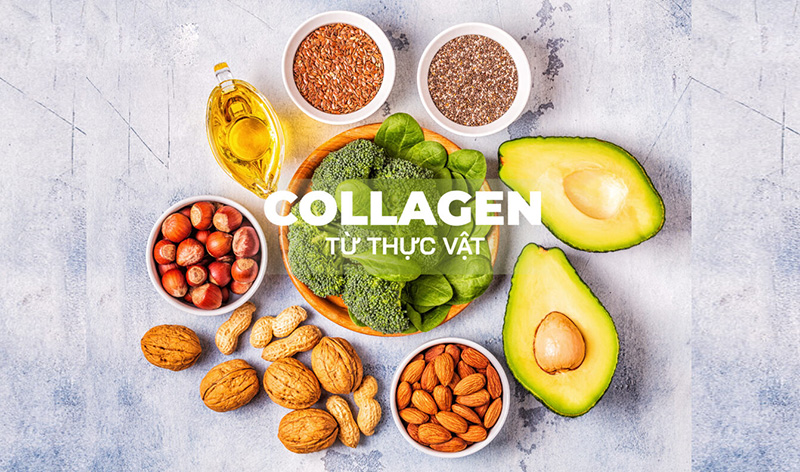 4 nhóm thực vật giàu collagen tốt hơn mỹ phẩm