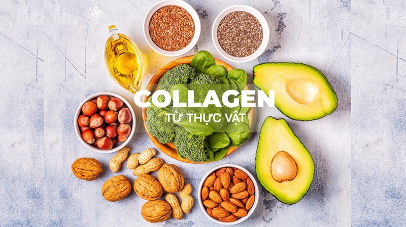 4 nhóm thực vật giàu collagen tốt hơn mỹ phẩm