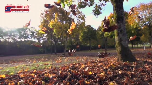 Bác sĩ tư vấn cách phòng tránh bệnh đường hô hấp trong thời tiết giao mùa